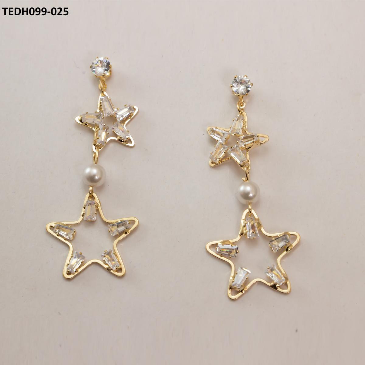 TEDH099 GJH Earrings Pair