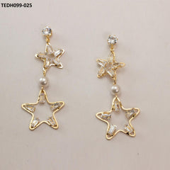 TEDH099 GJH Earrings Pair