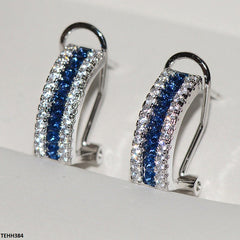 TEHH384 CSH Ear Hoops Pair