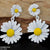 CEDH083 LSH Flower Drop Earrings pair